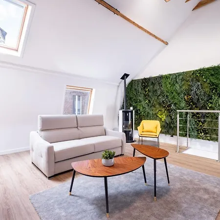 Magnifique Loft , Proche Metro Lille